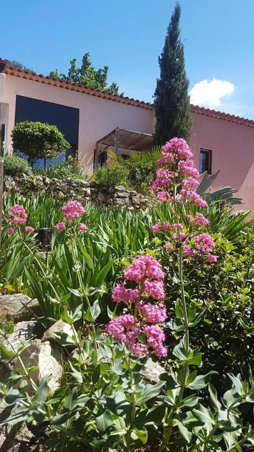 Bastide Cigaline Villa Le Beausset Exterior foto