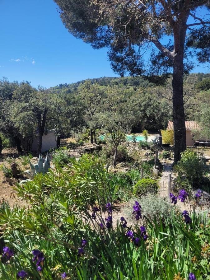 Bastide Cigaline Villa Le Beausset Exterior foto