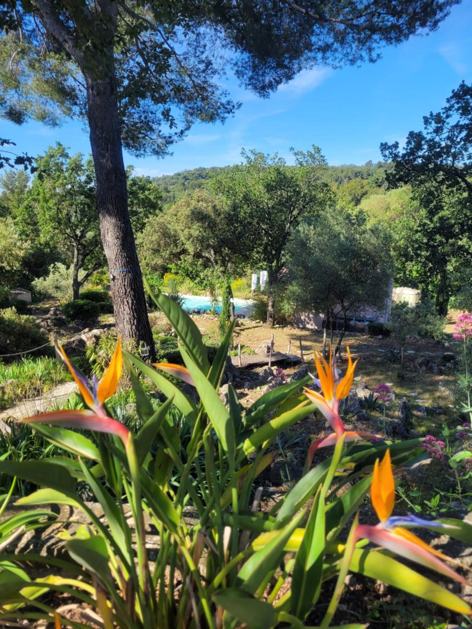 Bastide Cigaline Villa Le Beausset Exterior foto